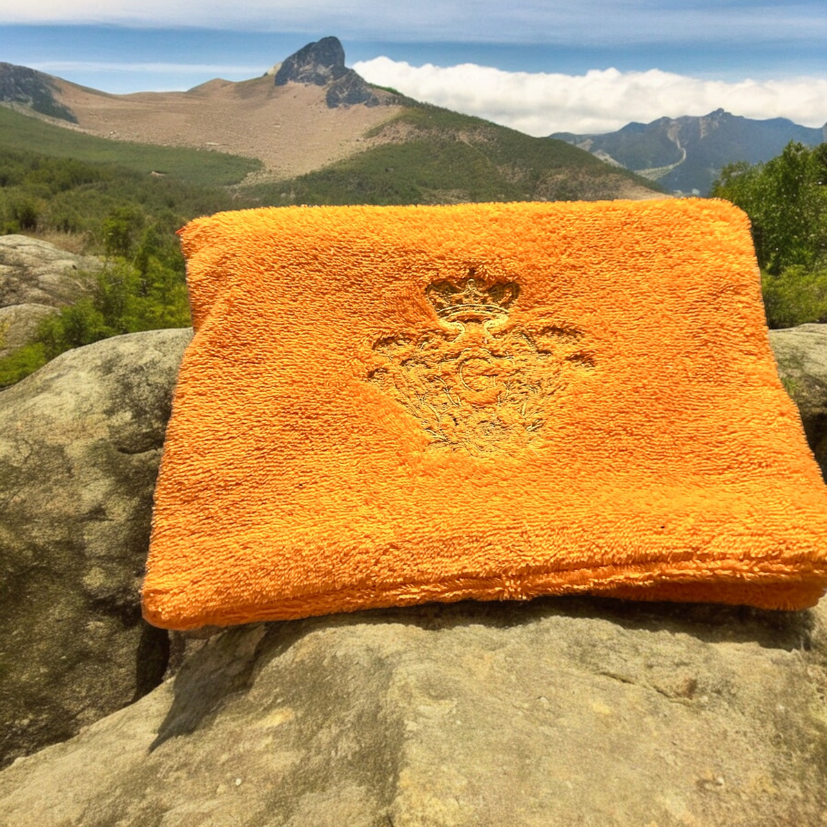 Pochette XL en éponge Bonie en coton orange intérieur en cretonne enduite logo Doré